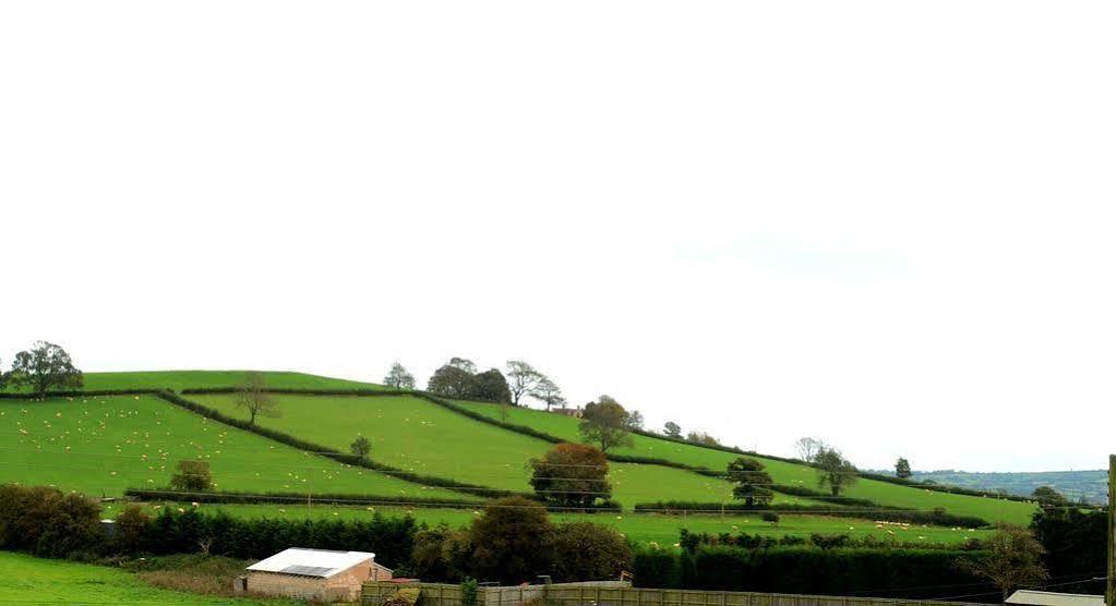 The Cannards Well Shepton Mallet Exteriér fotografie